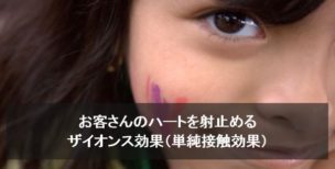 ザイオンス効果（単純接触効果）